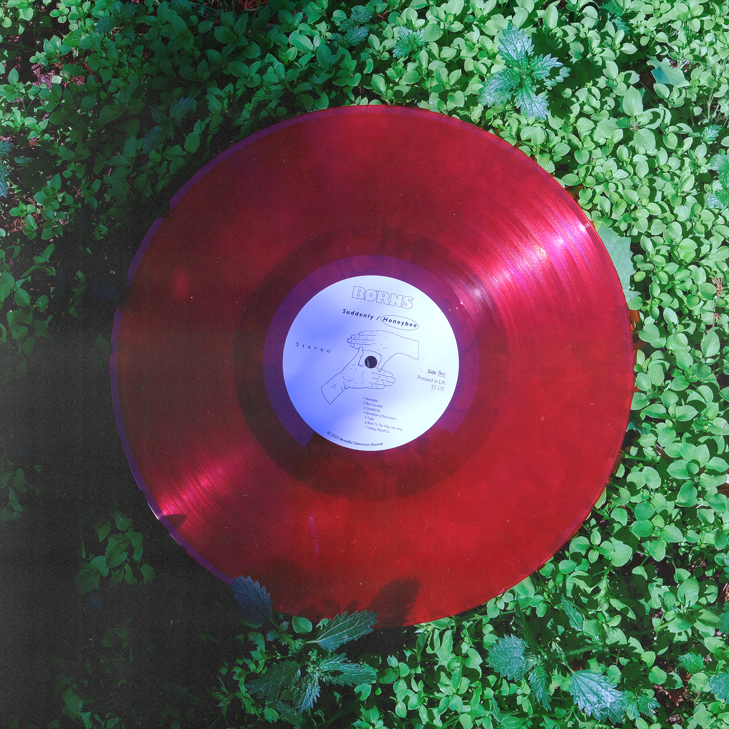 Suddenly + Honeybee Limited & Signed Vinyl