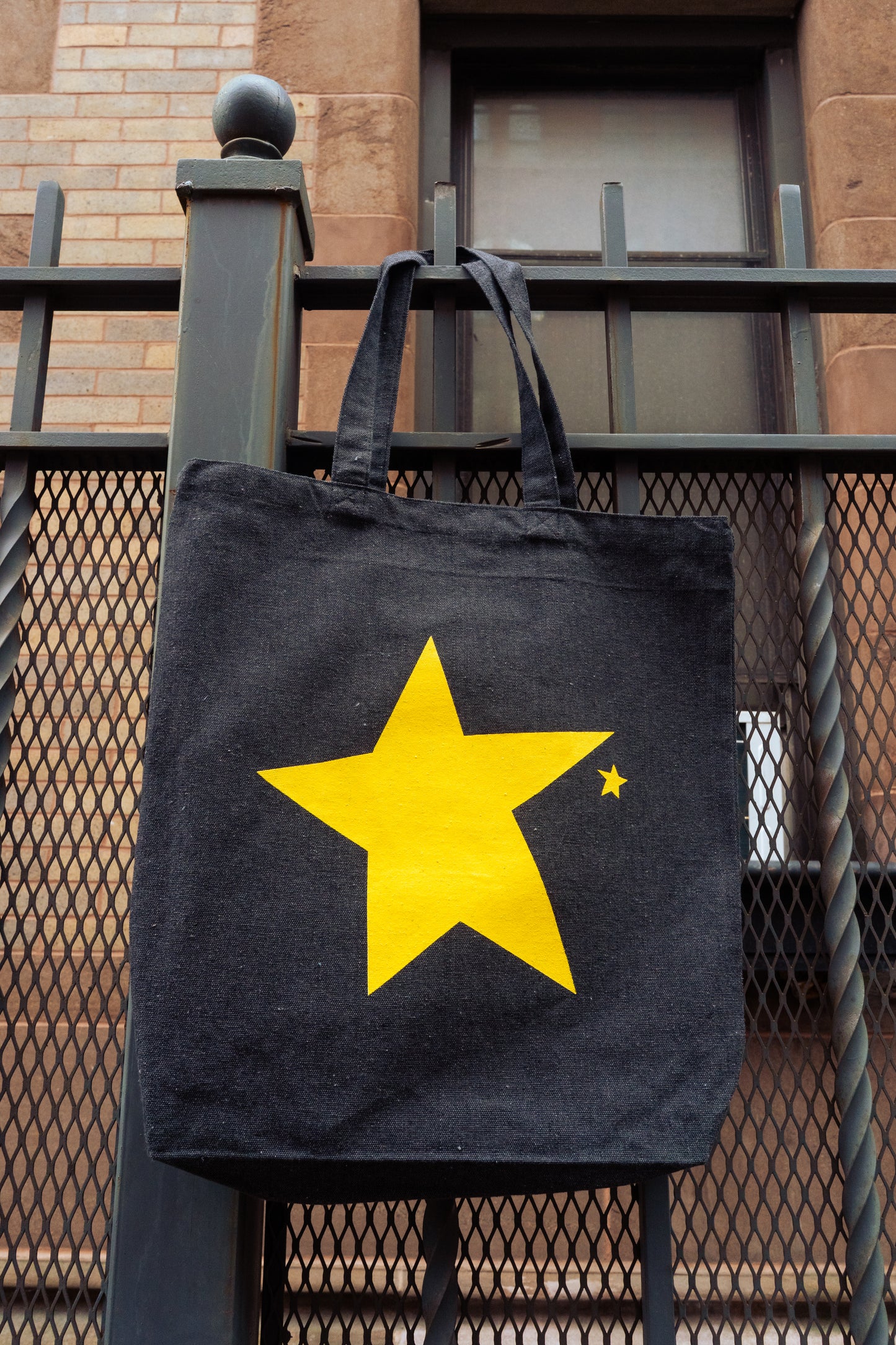 Seeing Stars Tote